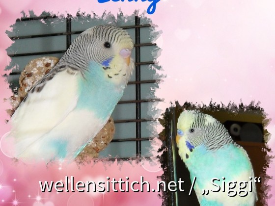 Der schöne Lenny