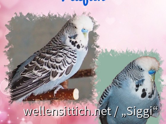 Taifun, mein Schnuckelbabymann