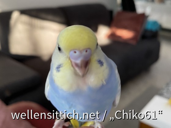 Geschlecht?