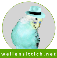 Wellensittich.Net Wellensittich.Net